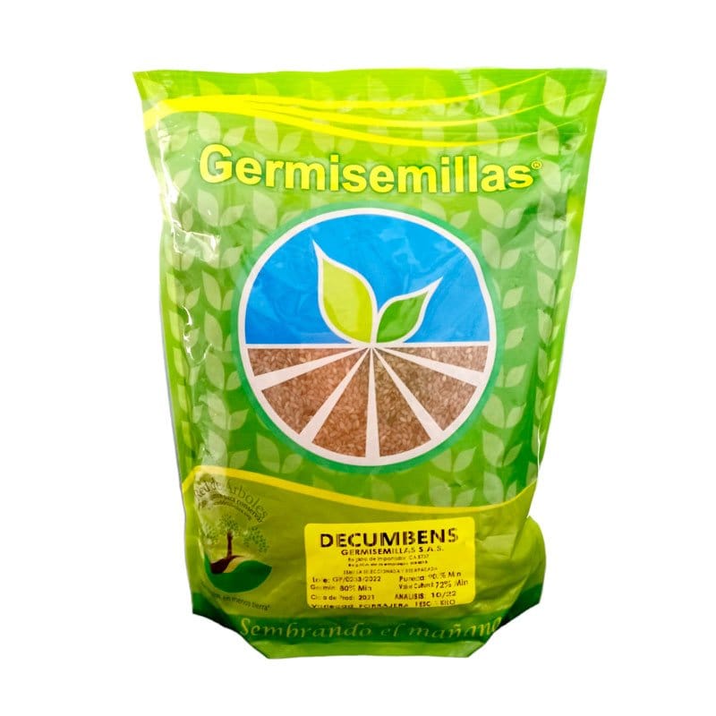 DECUMBENS RECUBIERTA GERMISEMILLAS KILO