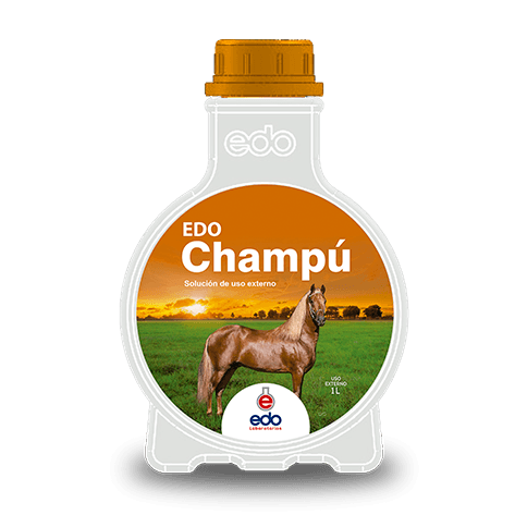 EDO CHAMPU LITRO