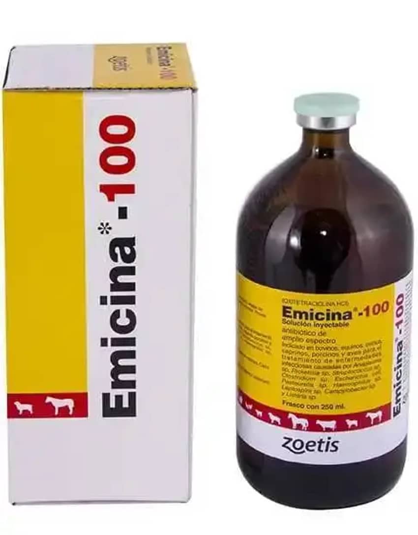 EMICINA® 100 x 250 ML - ZOETIS
