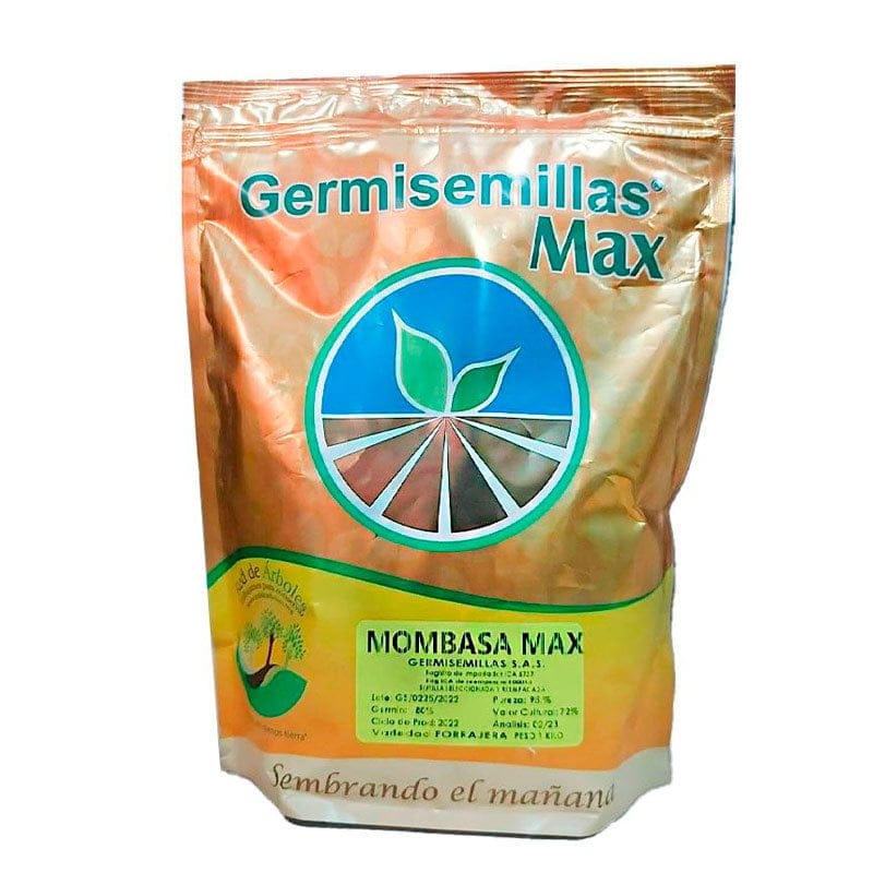 MOMBASA RECUBIERTA GERMISEMILLAS KILO