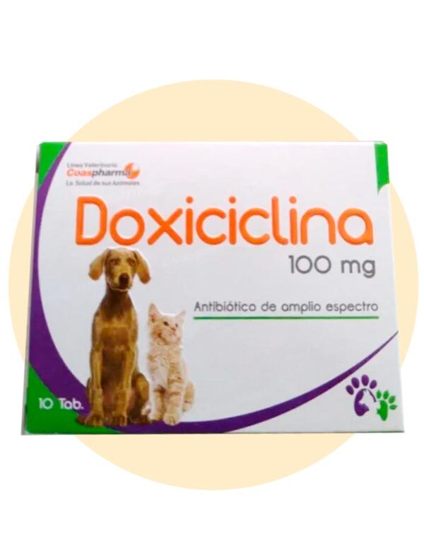 doxiciclina 100 mg