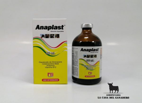 anaplast