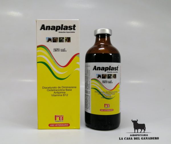 anaplast