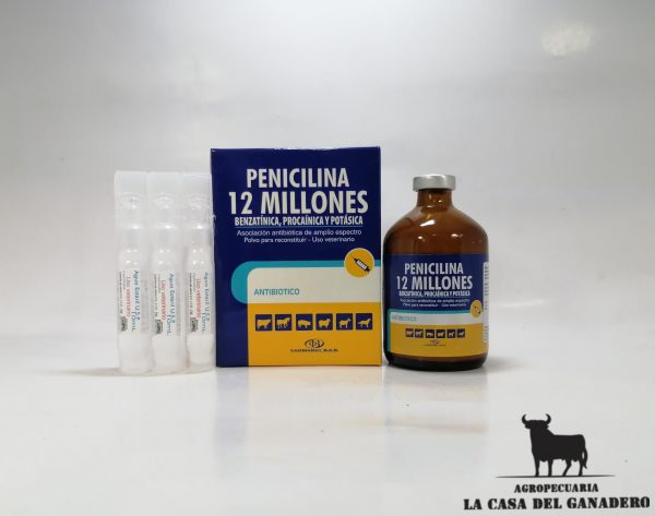 penicilina 12 m